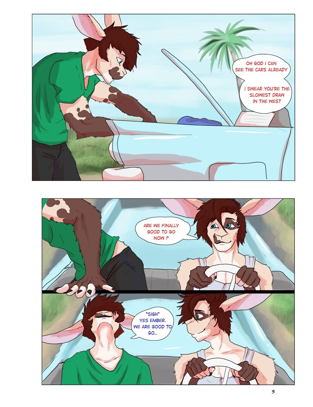 Page 3